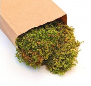 green moss in a bag